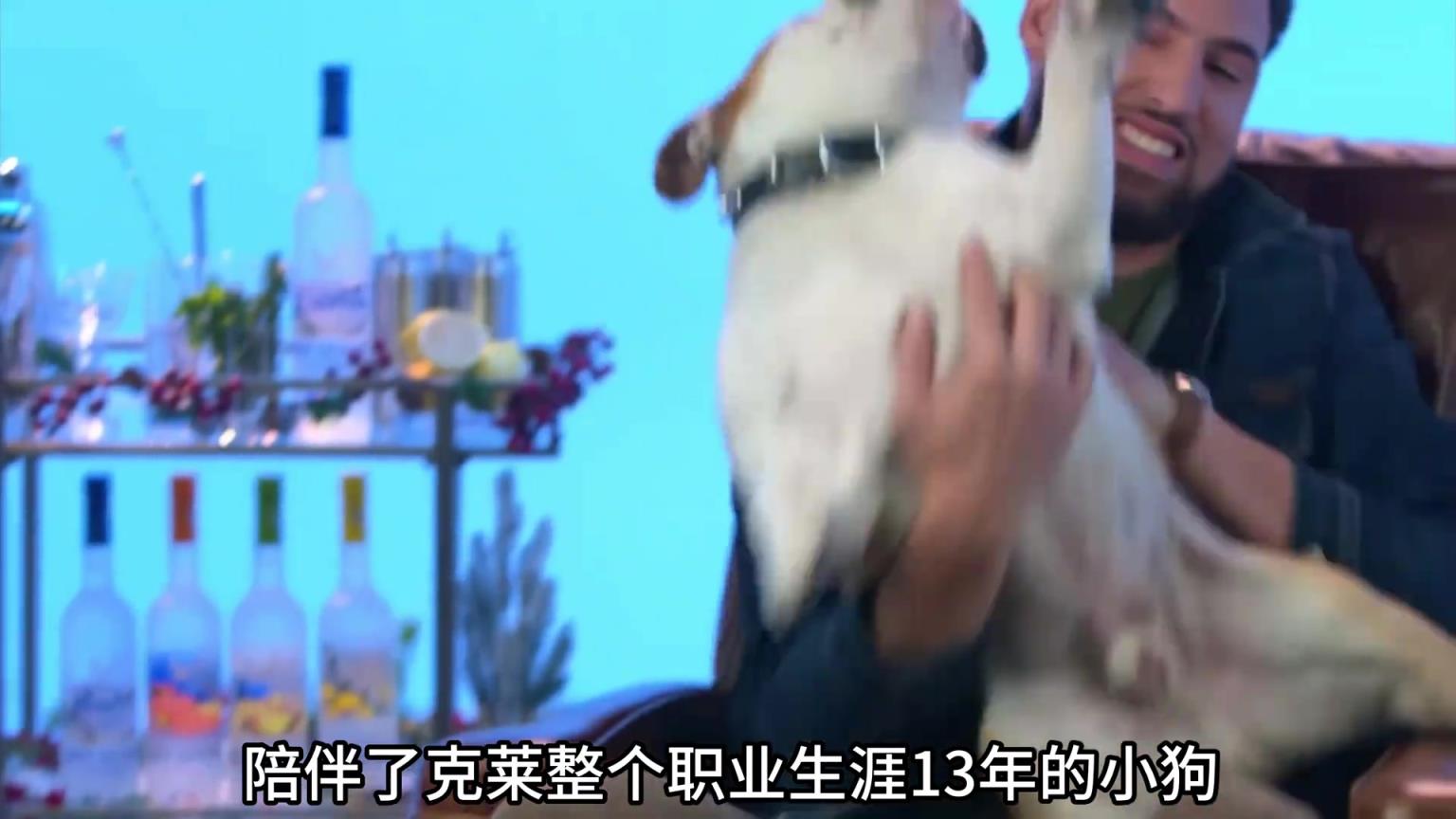 陪伴克萊13年的小狗去世了，不敢相信克萊得多么傷心